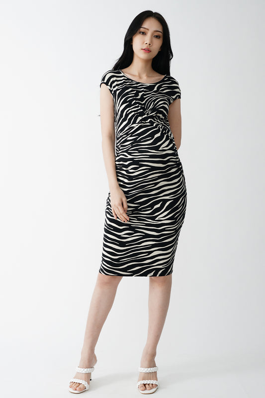 Fitted Draped Dress